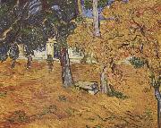 Vincent Van Gogh Park des Spitals France oil painting artist